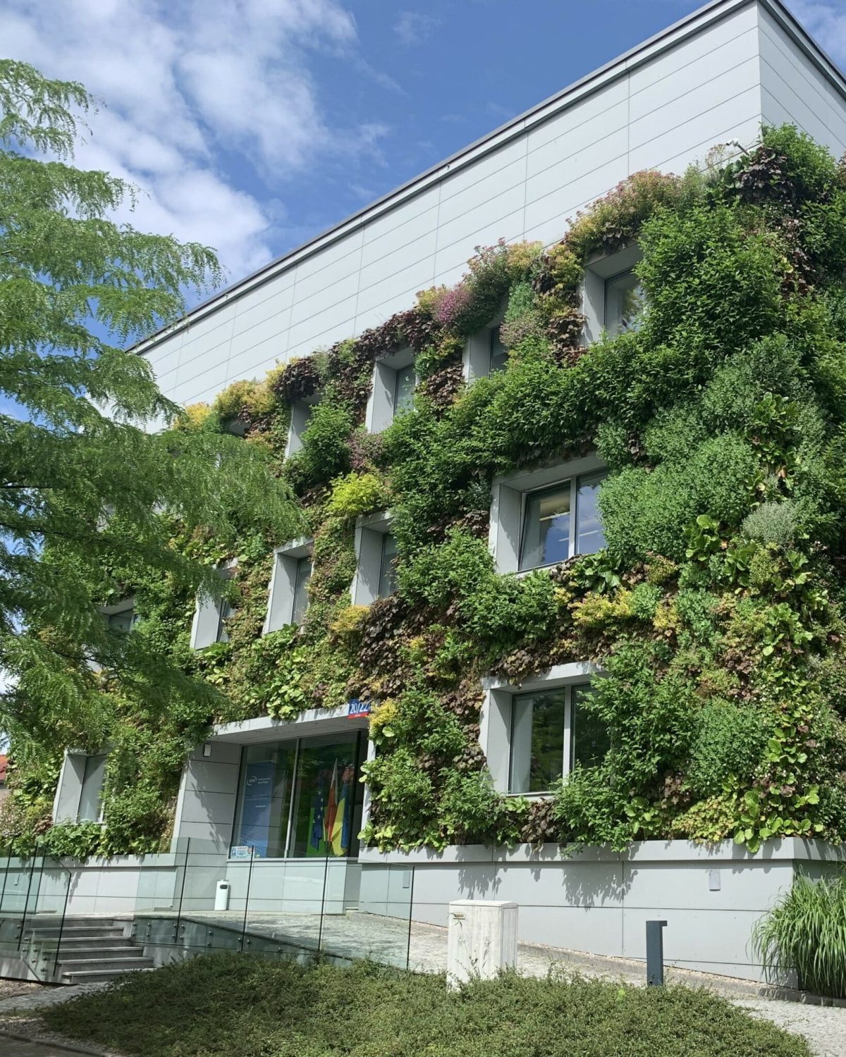 renovación ecológica FNP Warschau