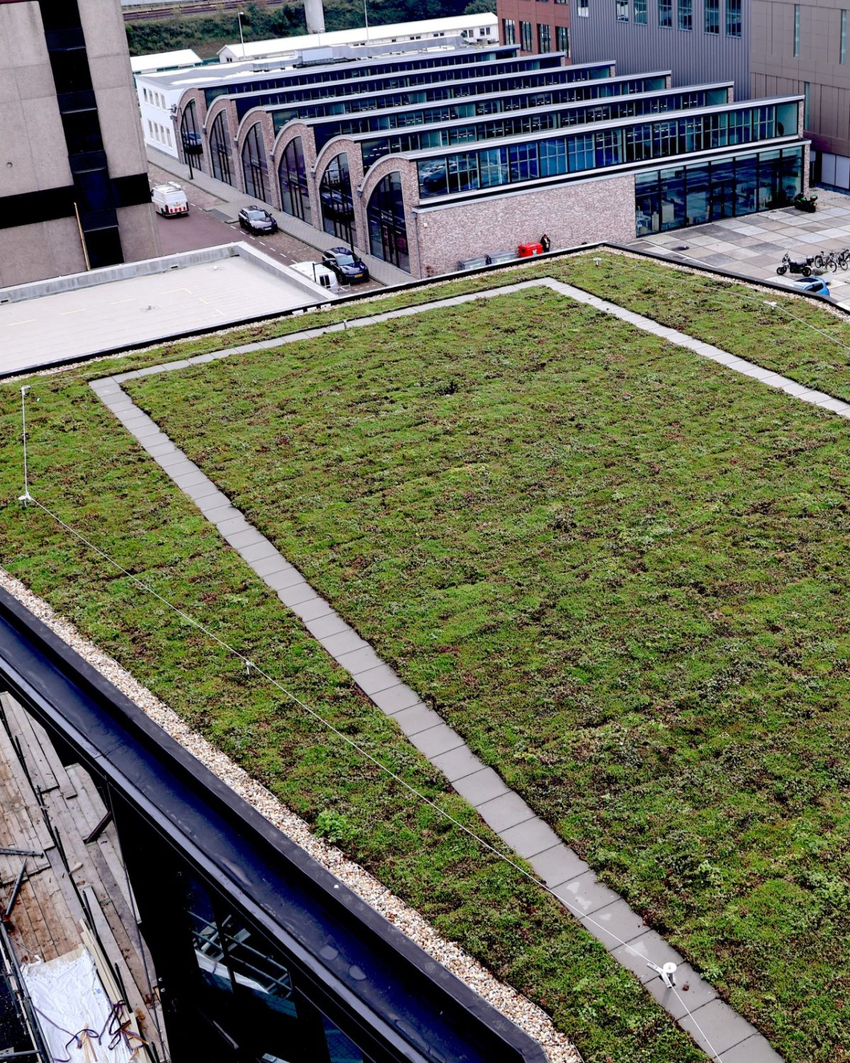 renovación ecológica soluciones sostenibles fábrica de chicles