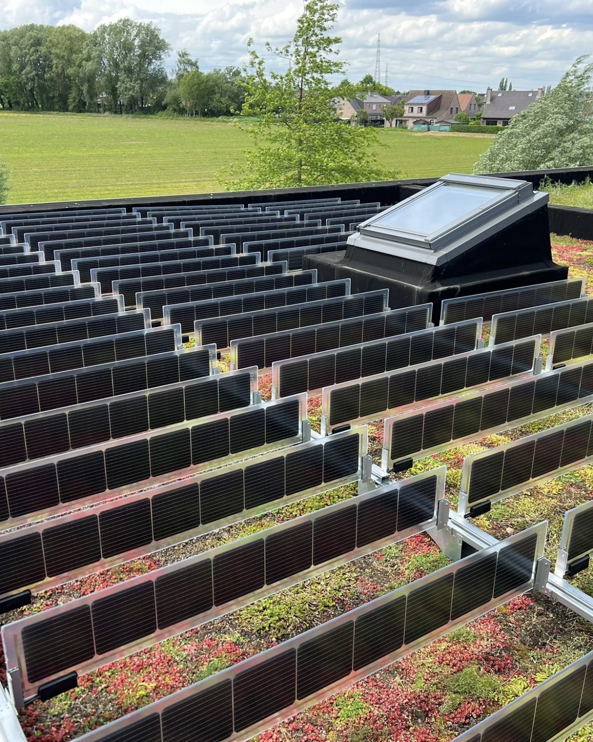 renovación ecológica soluciones sostenibles más fácil solar