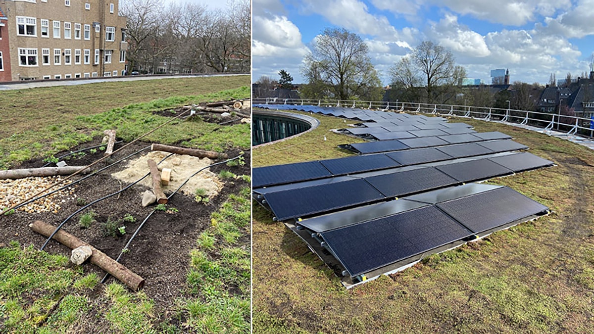 Sempergreen Apollohouse Ámsterdam