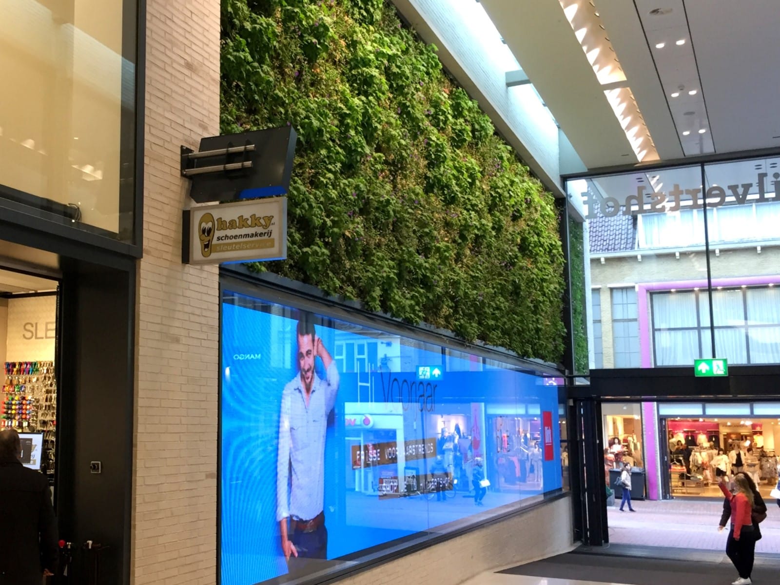 Sempergreen green renovación hilversum