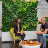 Últimas noticias de Sempergreen