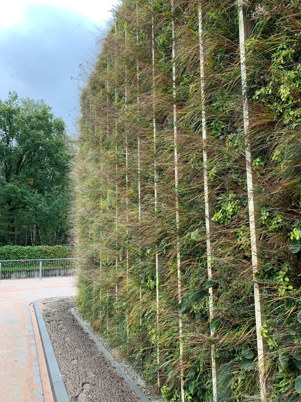 Muro vegetal Sempergreen Apeldoorn Radiotherapygroup