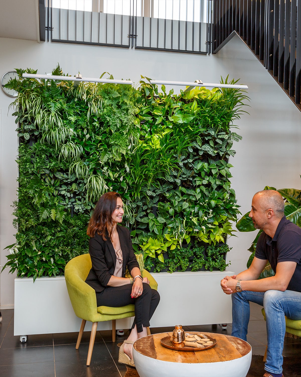 Noticias Sempergreen