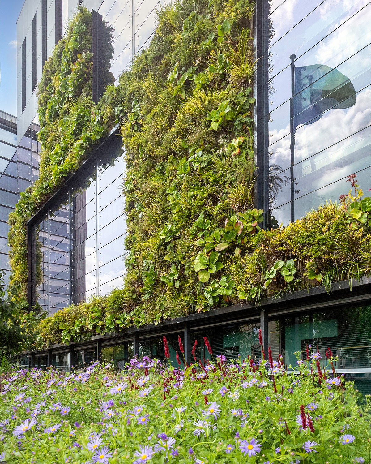 Sempergreenwall outdoor