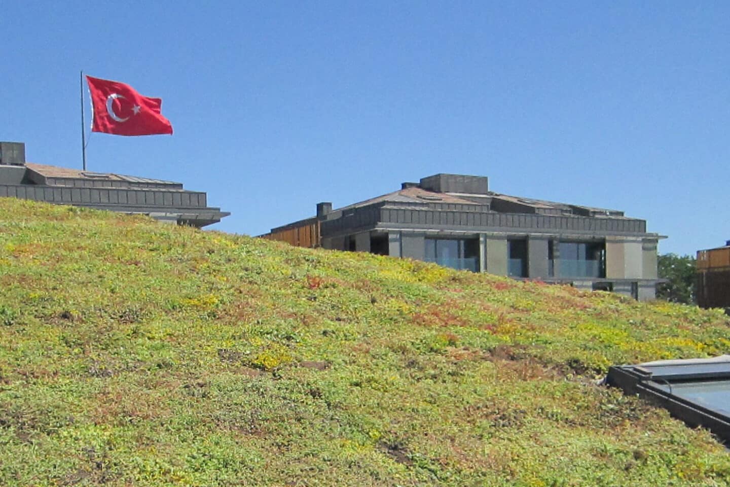 Cubierta vegetal Sempergreen Turkiye