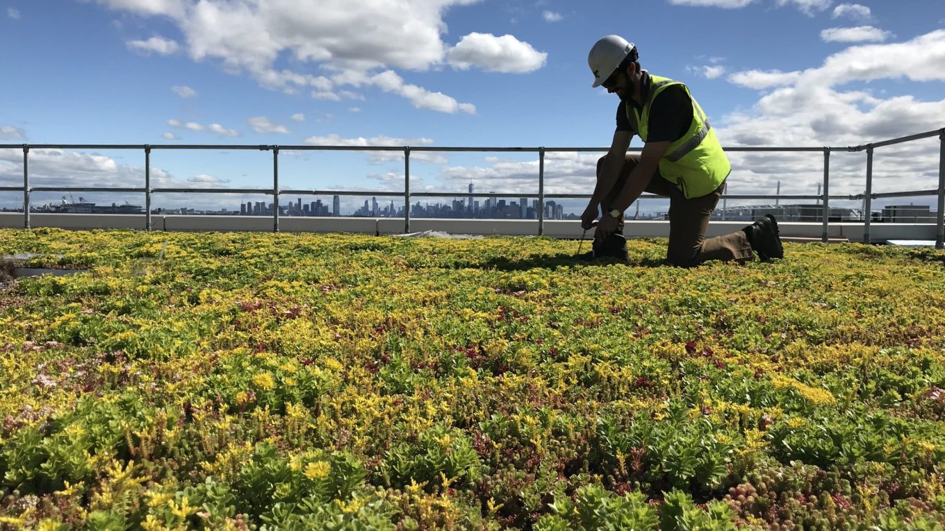 aspecto técnico pancarta de renovación ecológica
