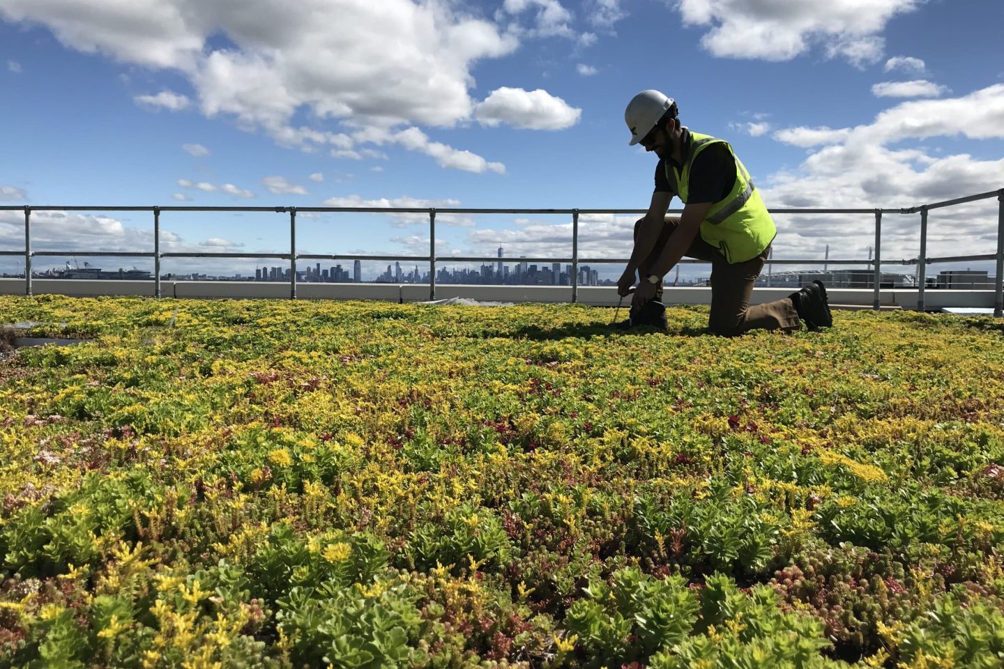 aspecto técnico pancarta de renovación ecológica