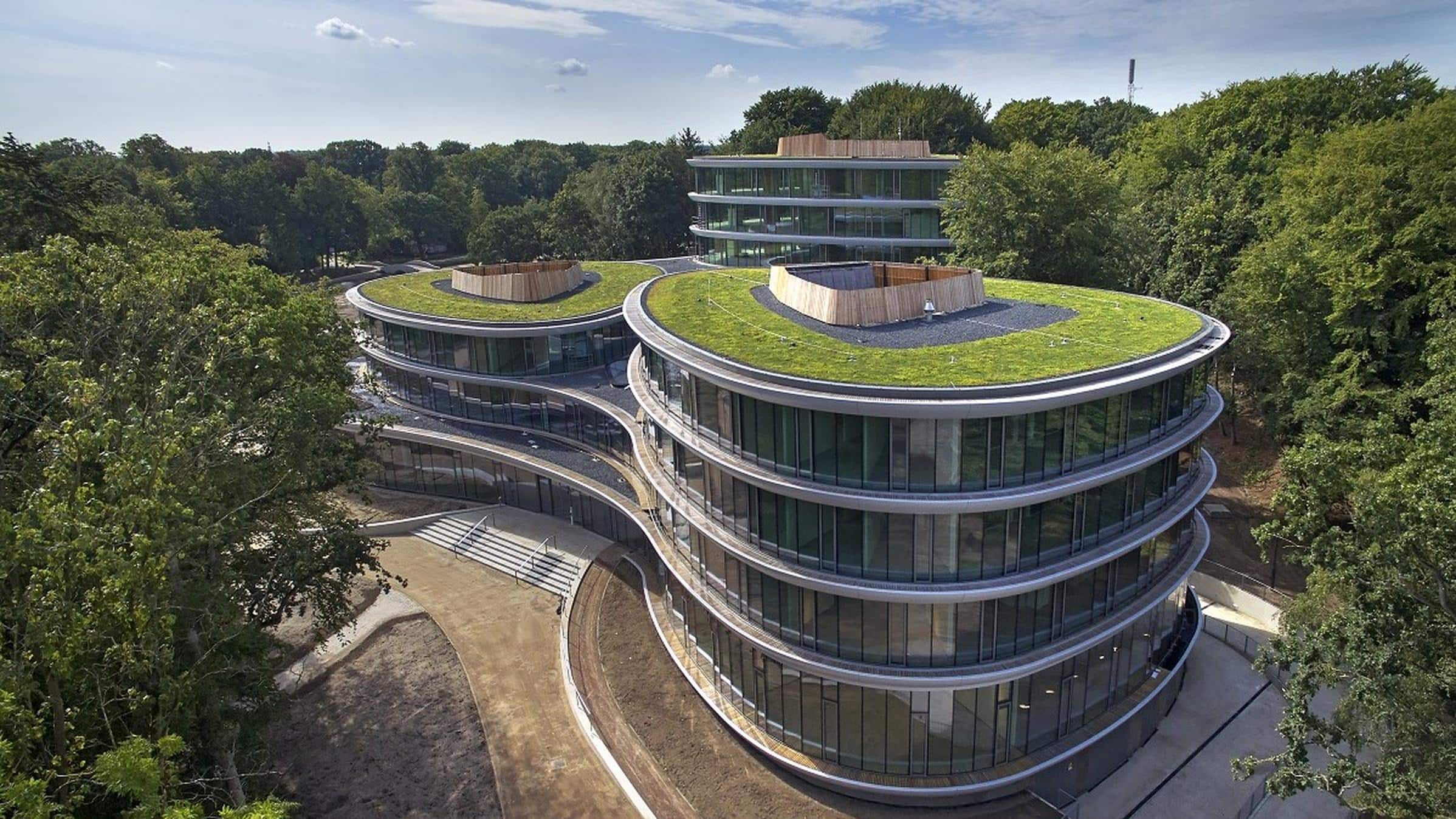 aspectos técnicos renovación ecológica cubierta vegetal plana