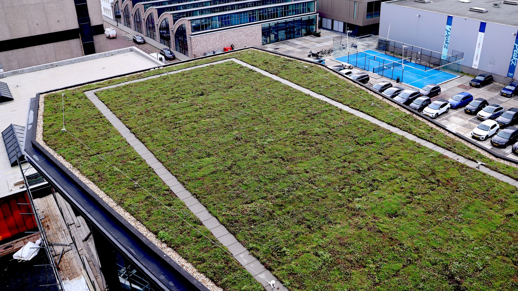 aspecto técnico renovación verde techo de retención