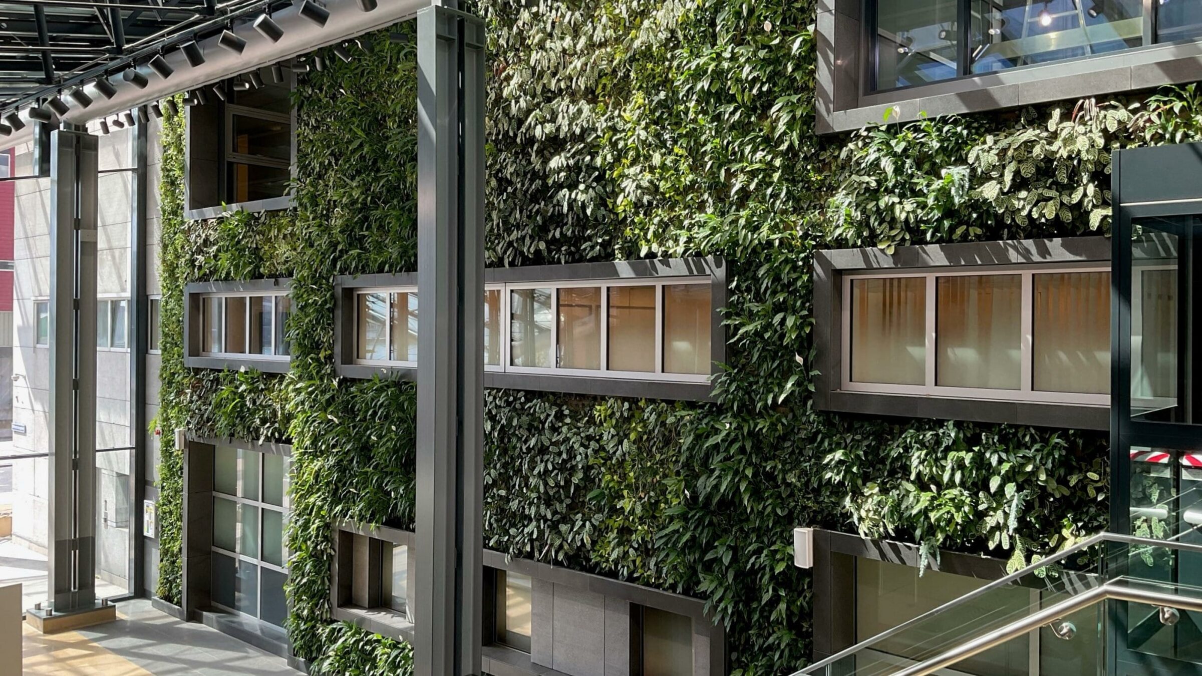 sempergreen renovación ecológica rotterdam
