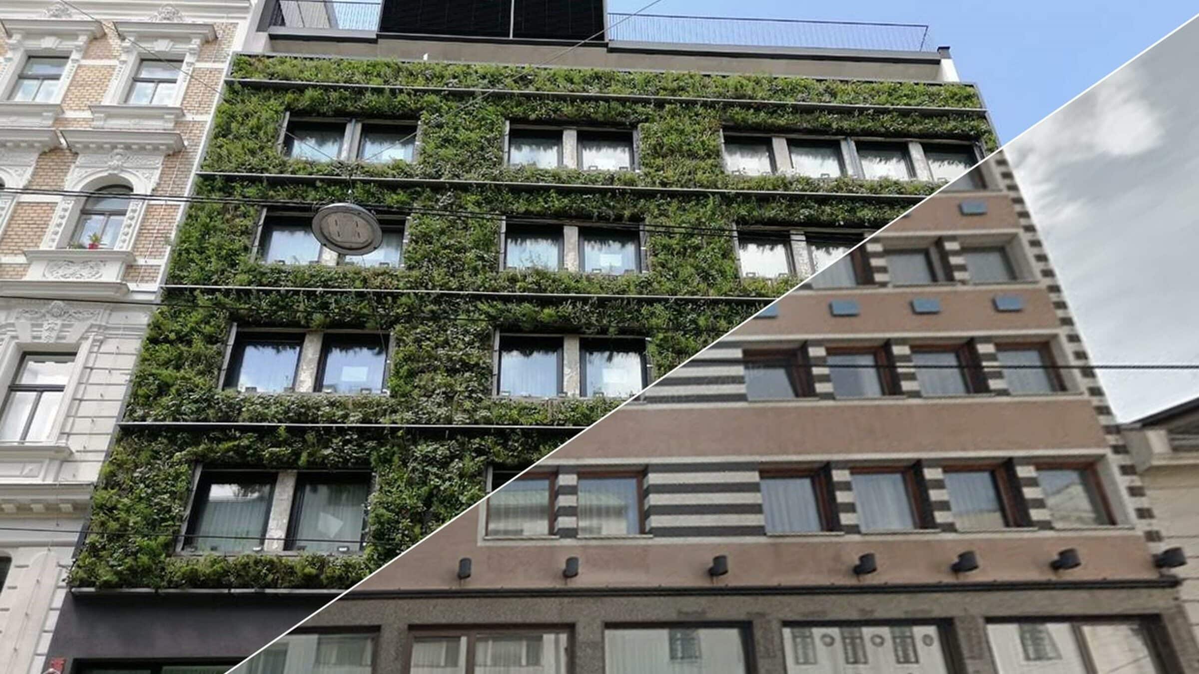 Renovación sostenible de Sempergreen: antes y después