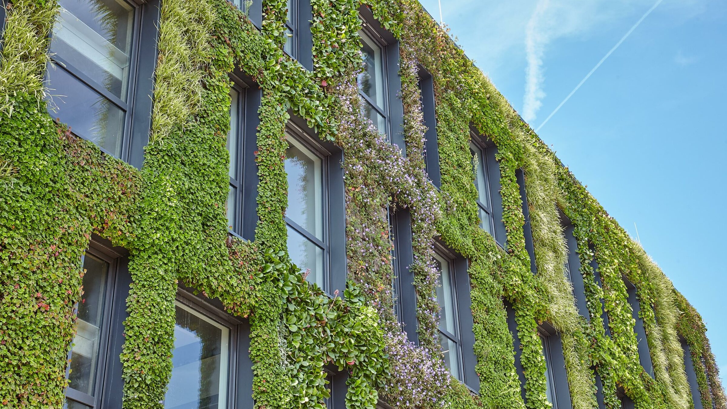 sempergreen renovación sostenible muro verde