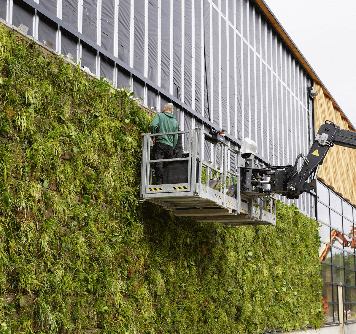 renovación ecológica soluciones sostenibles banner