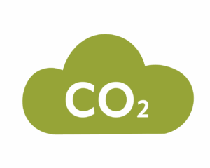 230 kg de CO₂ absorbidos al año