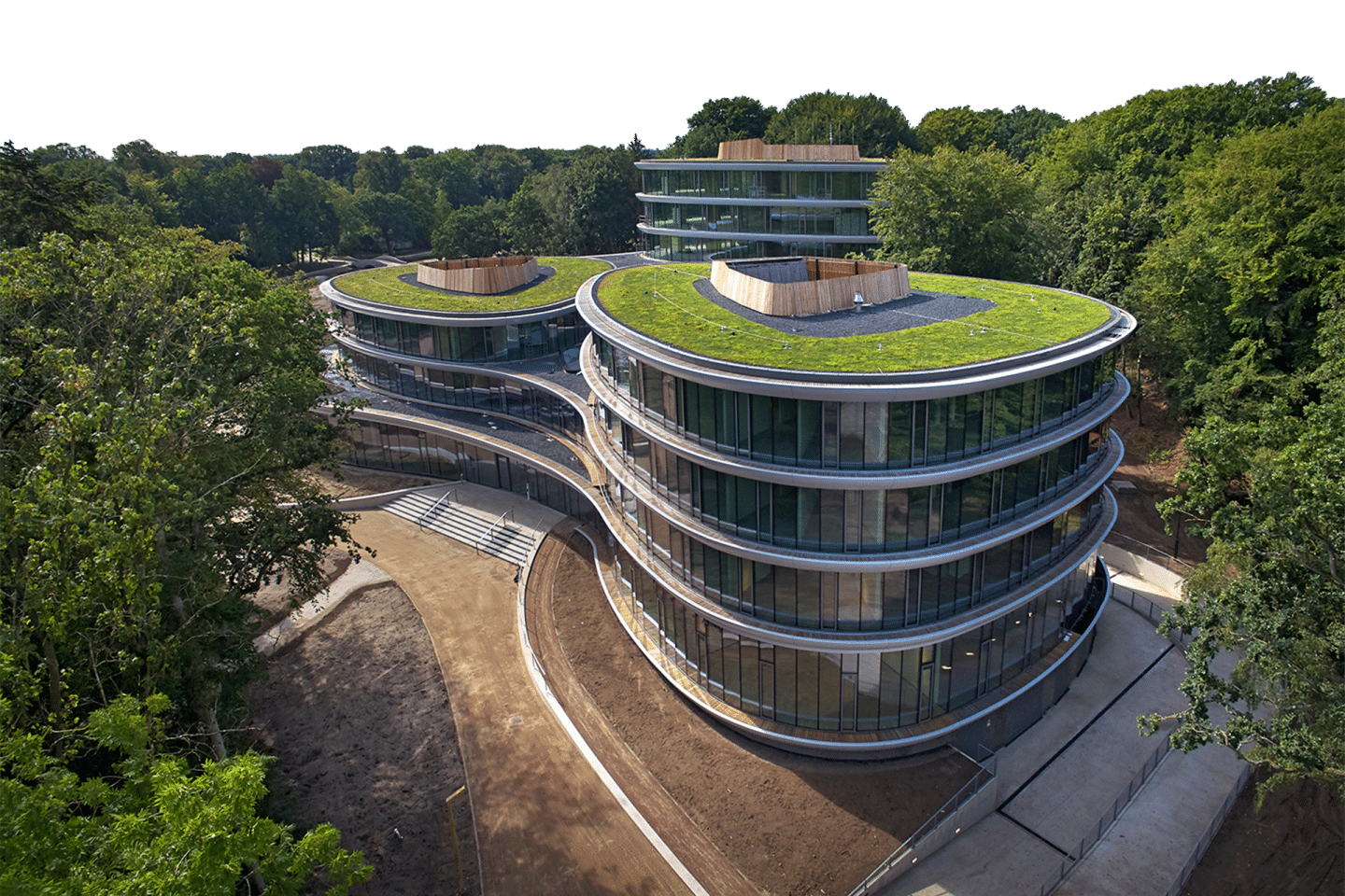 Cubierta vegetal Sempergreen