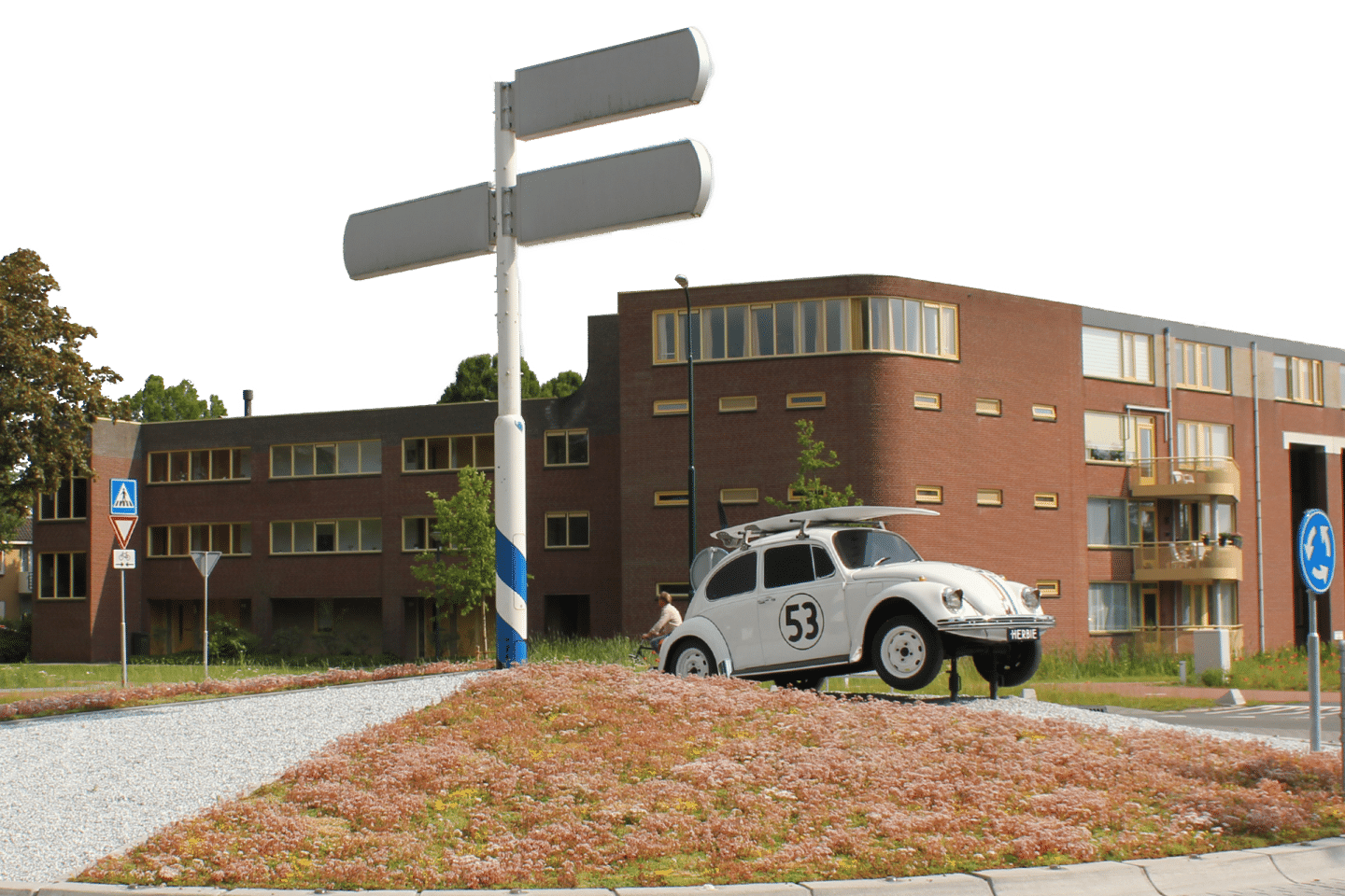 Sempergreen ground cover