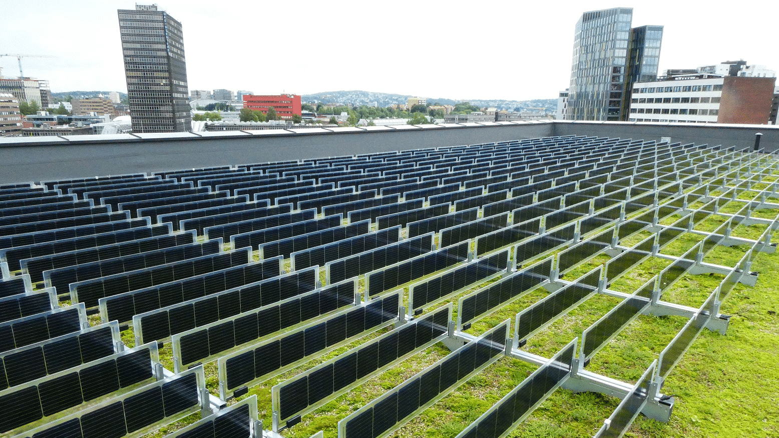 Cara técnica renovación verde cubierta plana verde solar