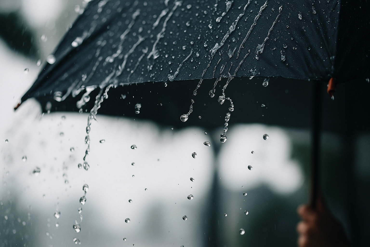 Innovación en cubiertas de agua Sempergreen